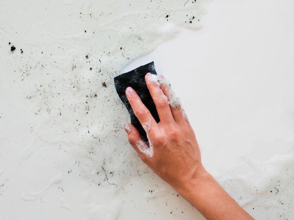Dubai Mold Removal