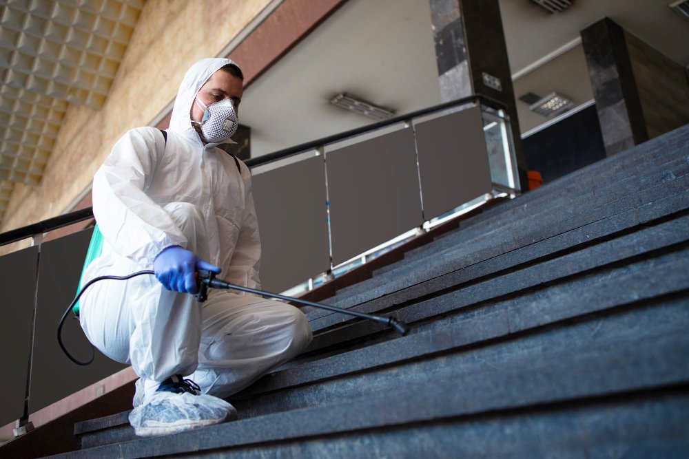 Dubai Mold Removal